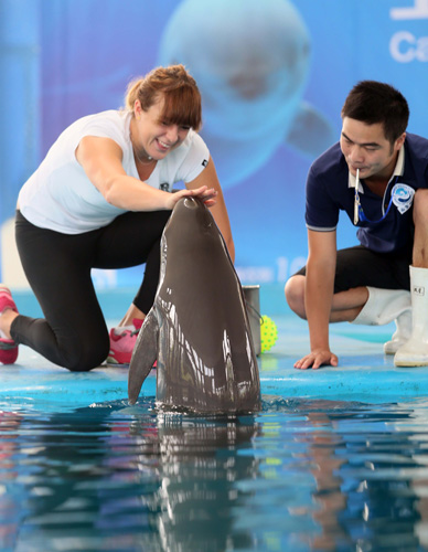 记的文化盛 记的文化盛